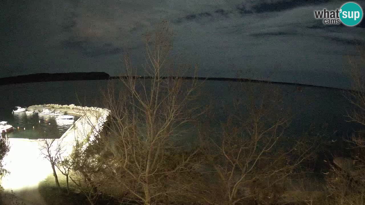 Kamp Odmoree spletna kamera Ražanac – Dalmacija