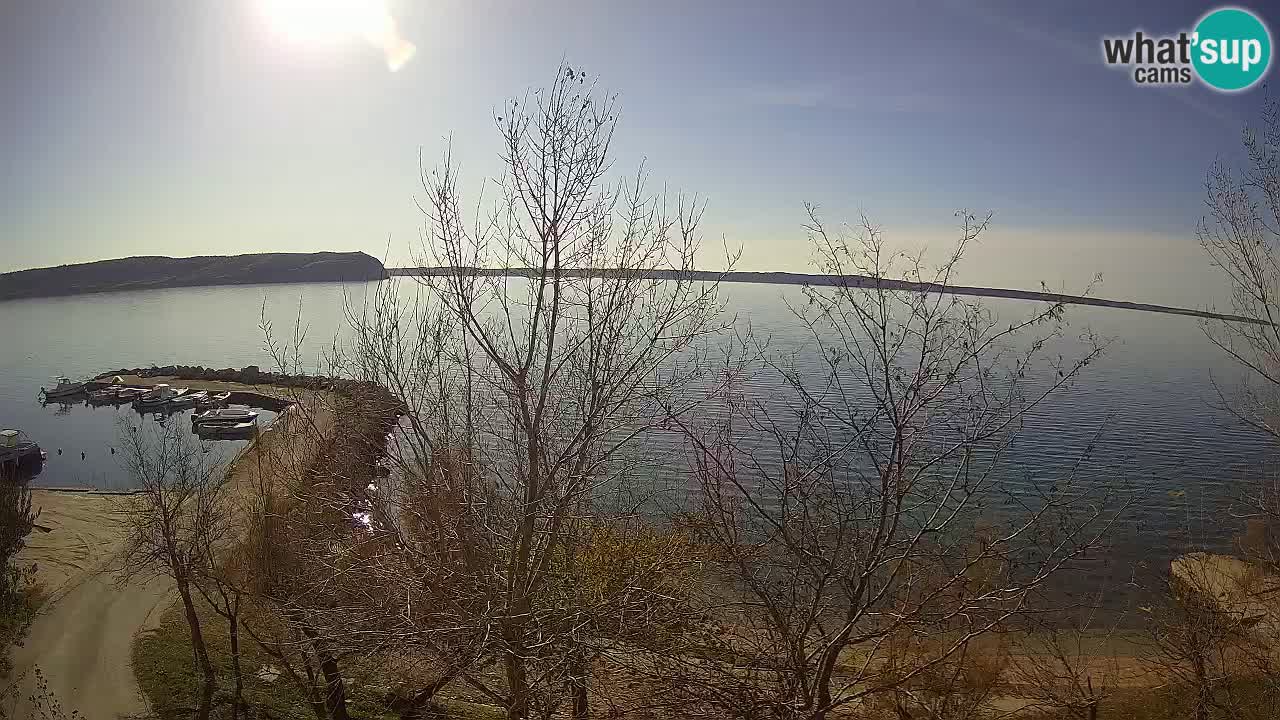 Camping Odmoree camera en vivo Ražanac – Dalmacia