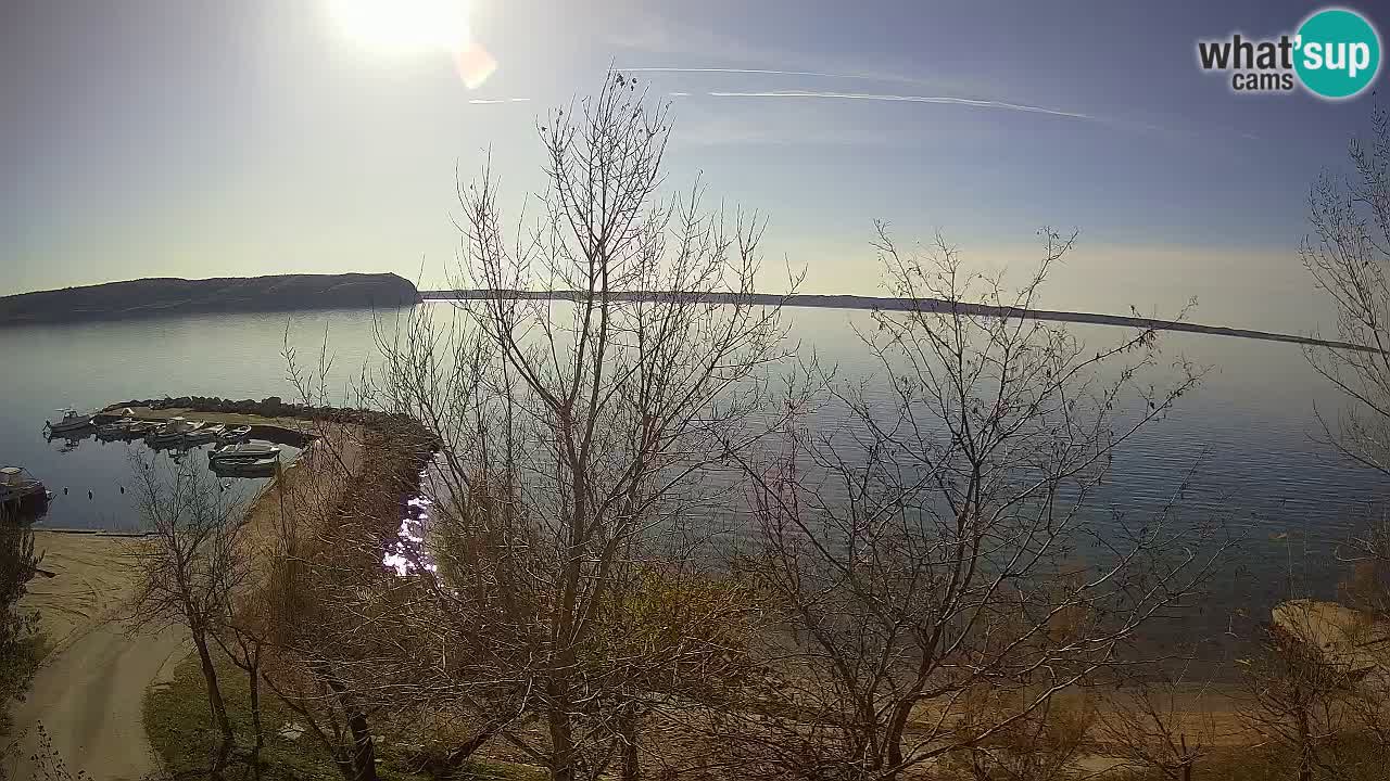 Kamp Odmoree spletna kamera Ražanac – Dalmacija
