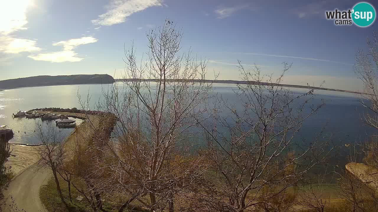 Camping Odmoree camera en vivo Ražanac – Dalmacia