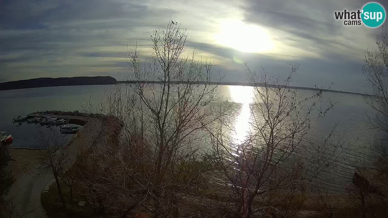 Camping Odmoree webcam Ražanac – Dalmatia