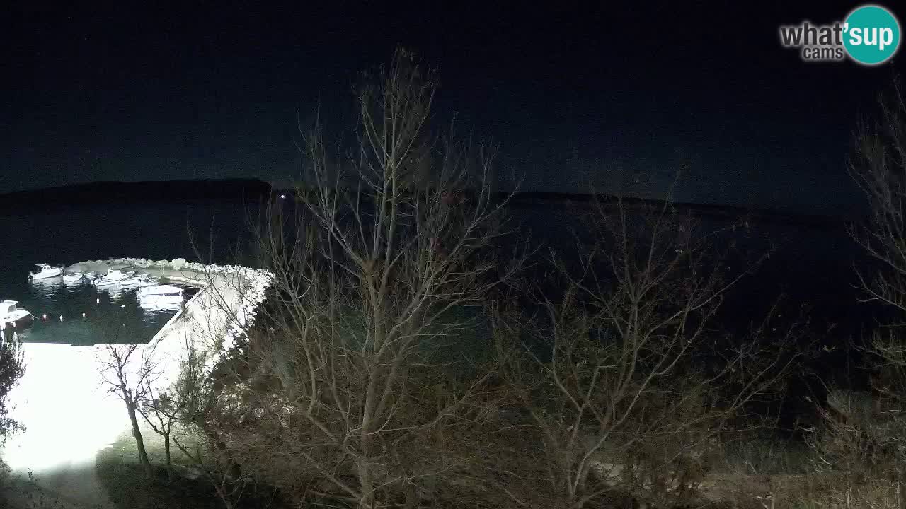 Kamp Odmoree spletna kamera Ražanac – Dalmacija