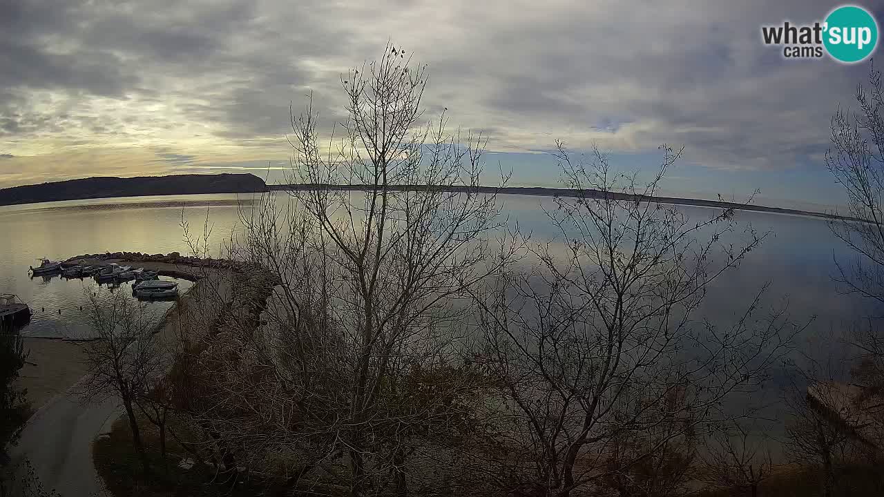 Kamp Odmoree spletna kamera Ražanac – Dalmacija