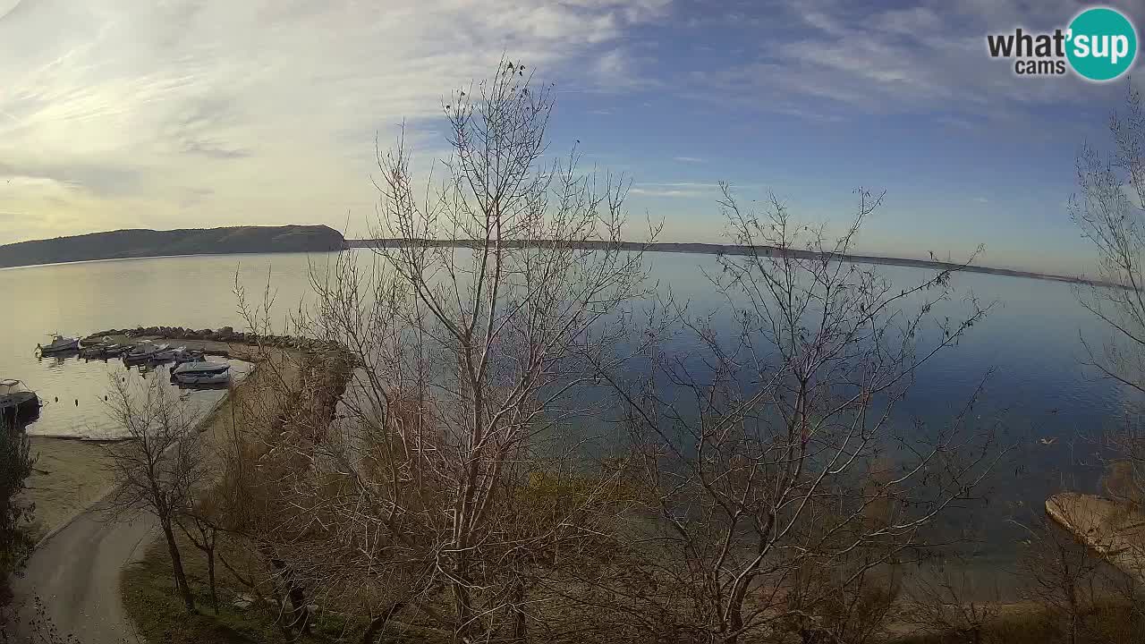 Kamp Odmoree spletna kamera Ražanac – Dalmacija