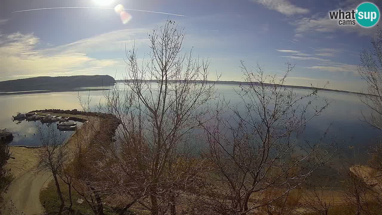 Kamp Odmoree spletna kamera Ražanac – Dalmacija