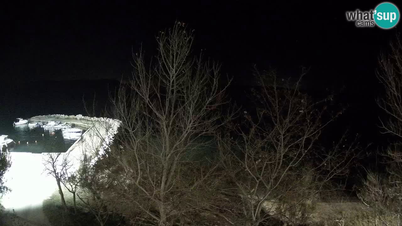 Kamp Odmoree spletna kamera Ražanac – Dalmacija