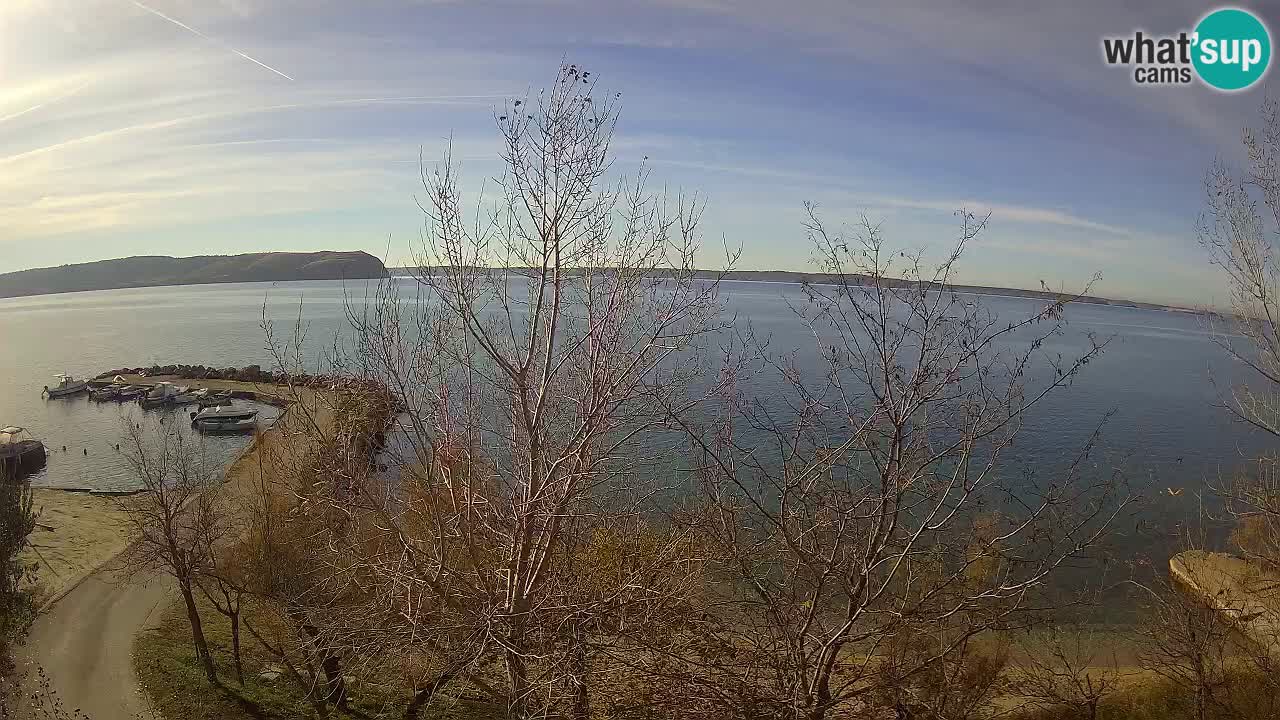 Camping Odmoree live cam Ražanac – Dalmatie