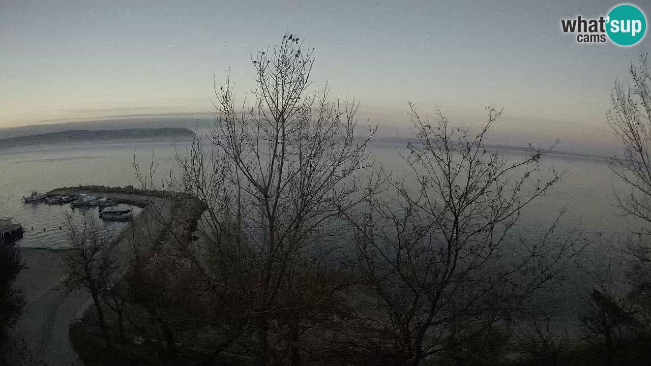 Kamp Odmoree spletna kamera Ražanac – Dalmacija