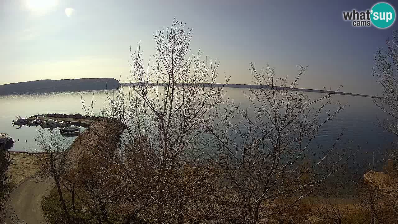 Kamp Odmoree spletna kamera Ražanac – Dalmacija