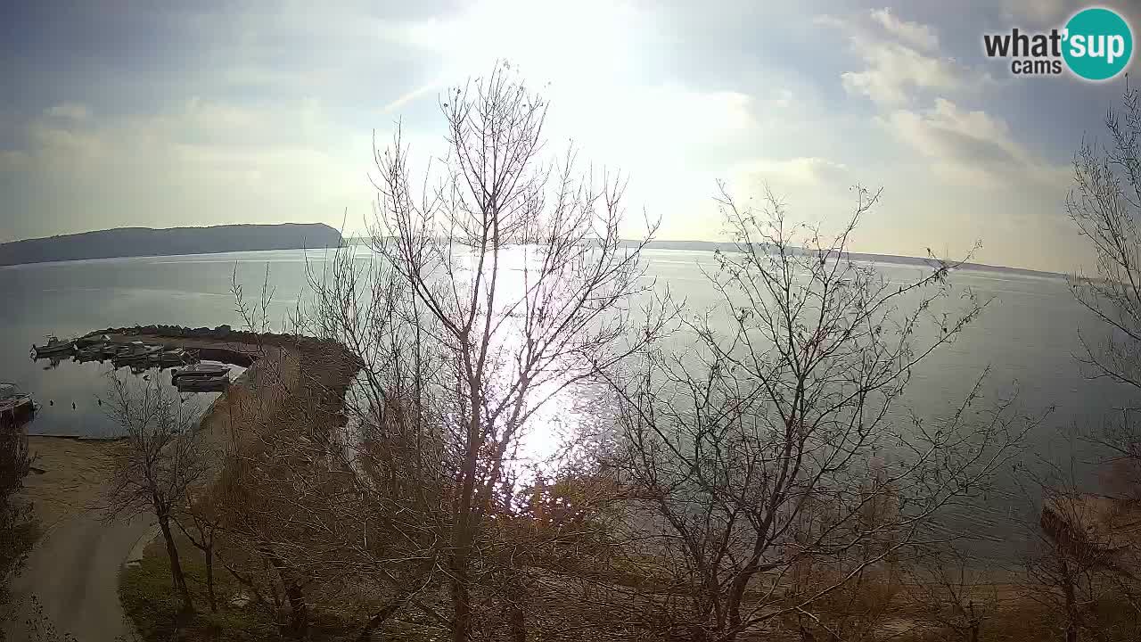 Camping Odmoree web kamera Ražanac – Dalmacija