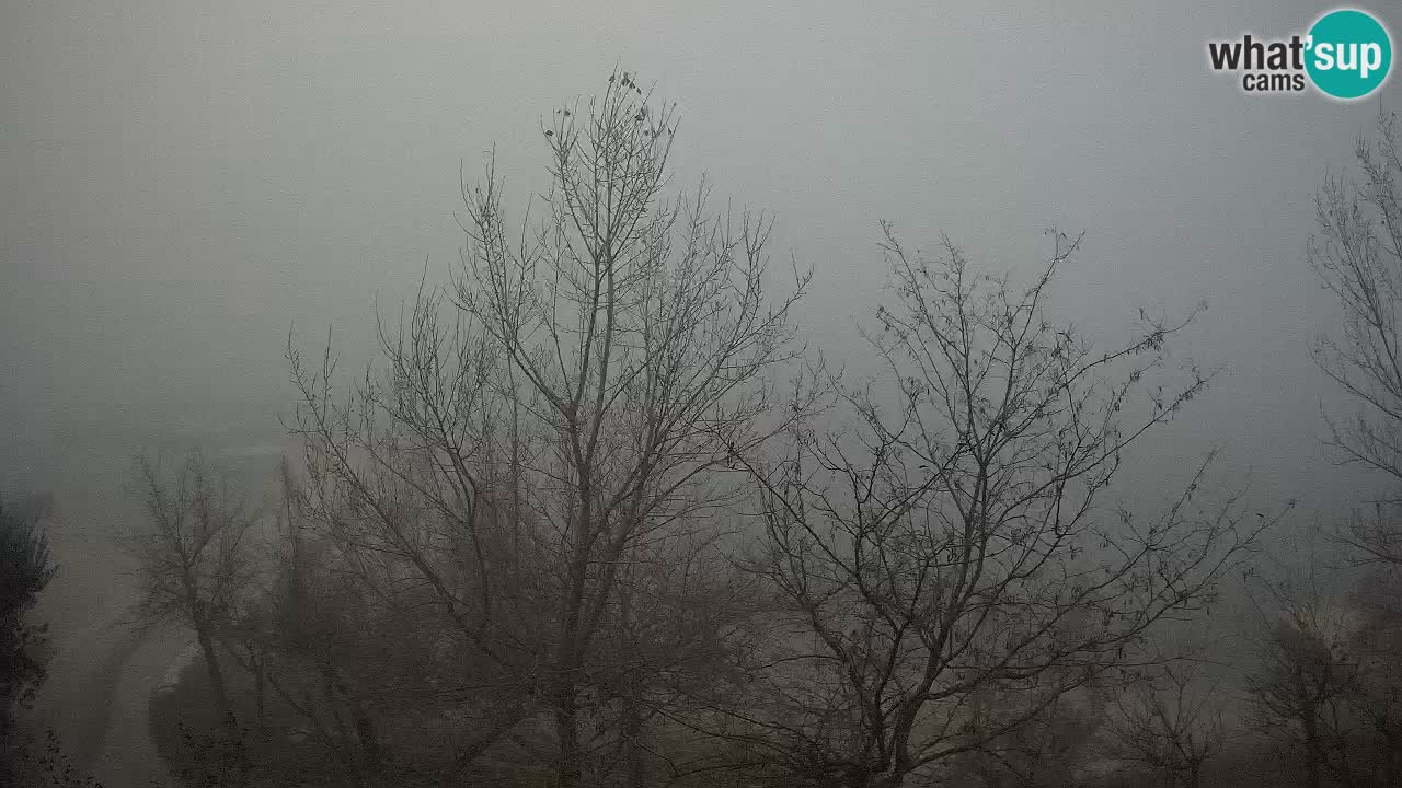 Camping Odmoree camera en vivo Ražanac – Dalmacia