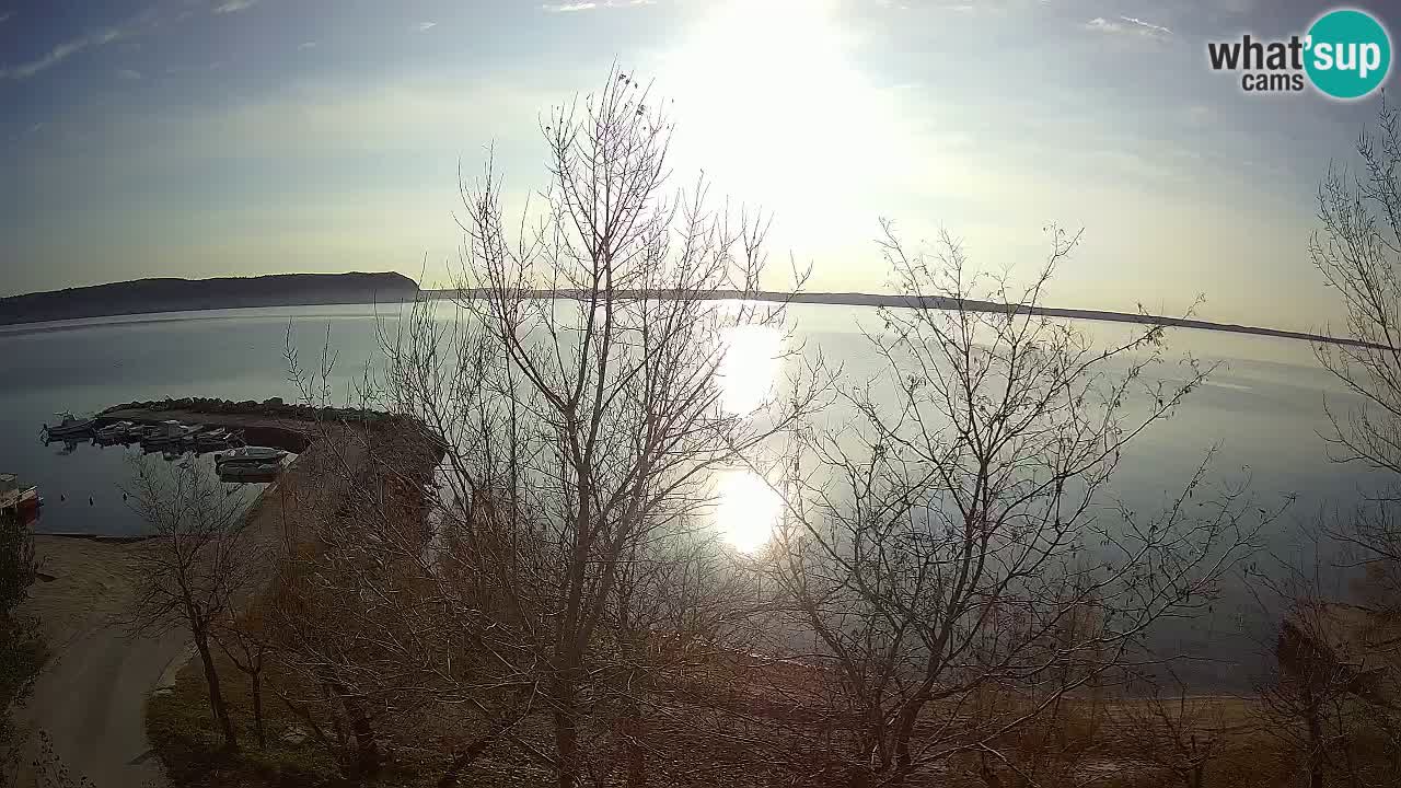 Camping Odmoree live cam Ražanac – Dalmatie