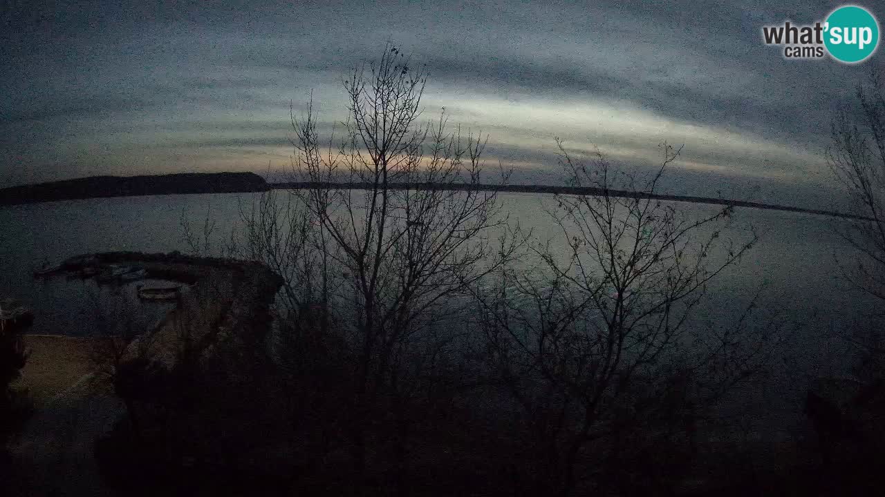 Kamp Odmoree spletna kamera Ražanac – Dalmacija