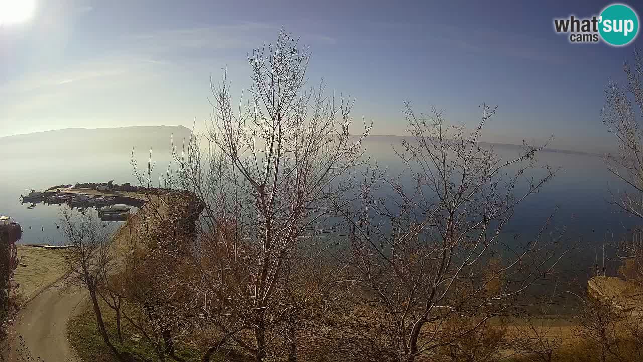 Kamp Odmoree spletna kamera Ražanac – Dalmacija