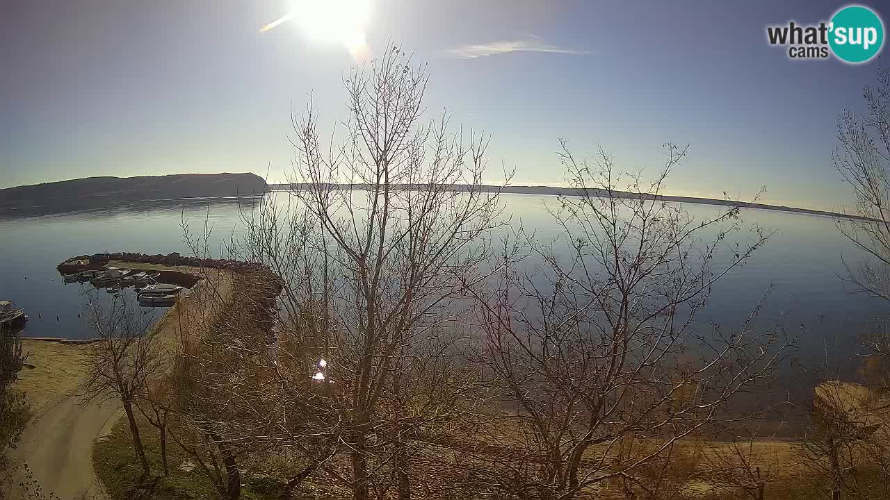 Kamp Odmoree spletna kamera Ražanac – Dalmacija