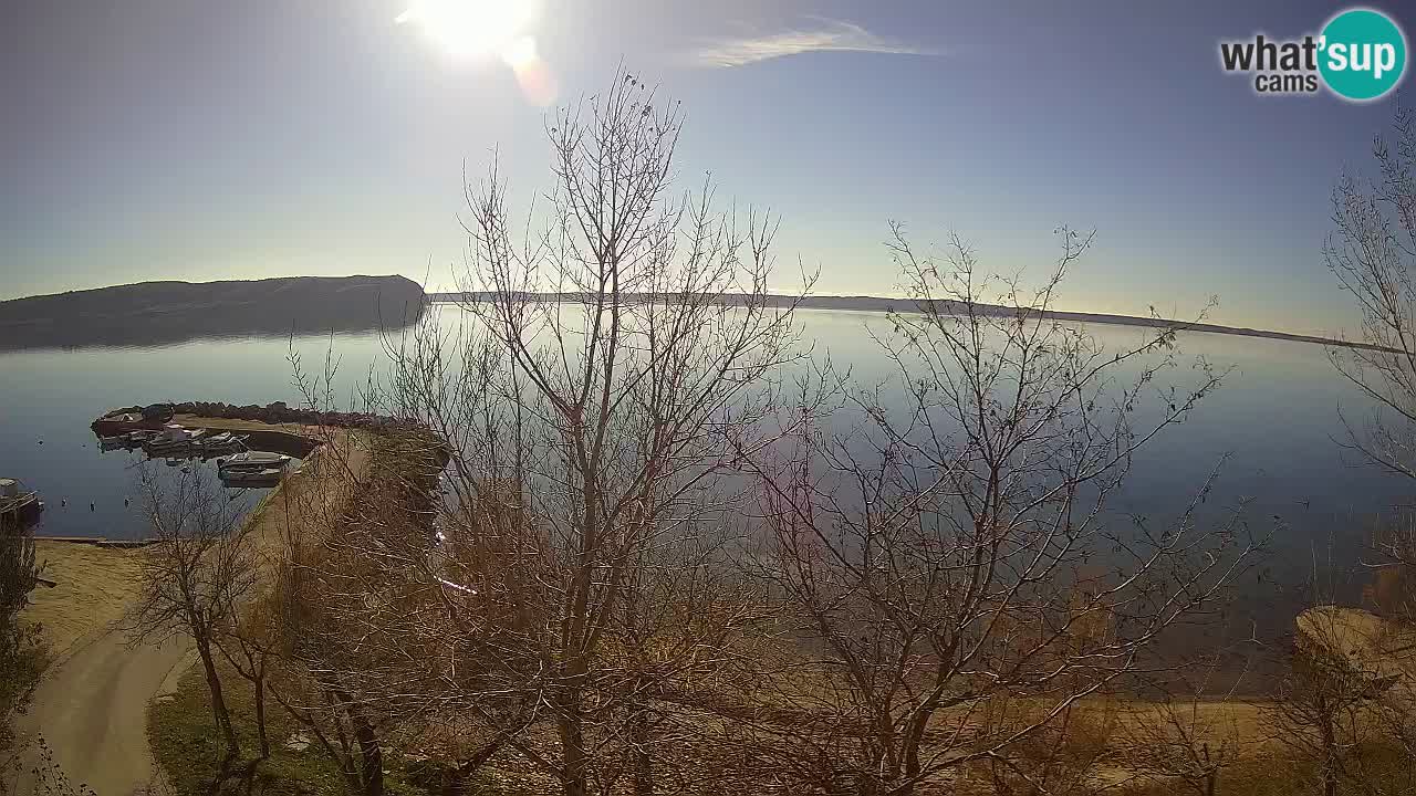 Kamp Odmoree spletna kamera Ražanac – Dalmacija