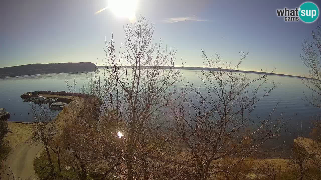 Kamp Odmoree spletna kamera Ražanac – Dalmacija