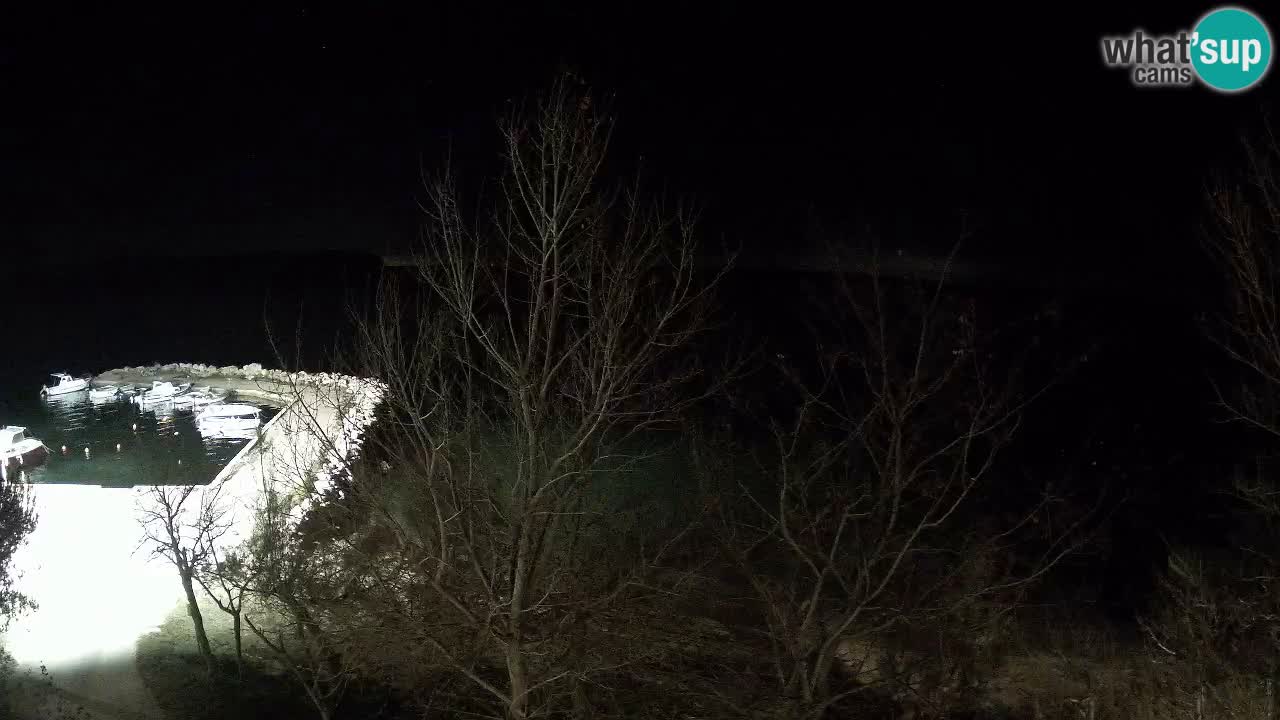 Camping Odmoree camera en vivo Ražanac – Dalmacia