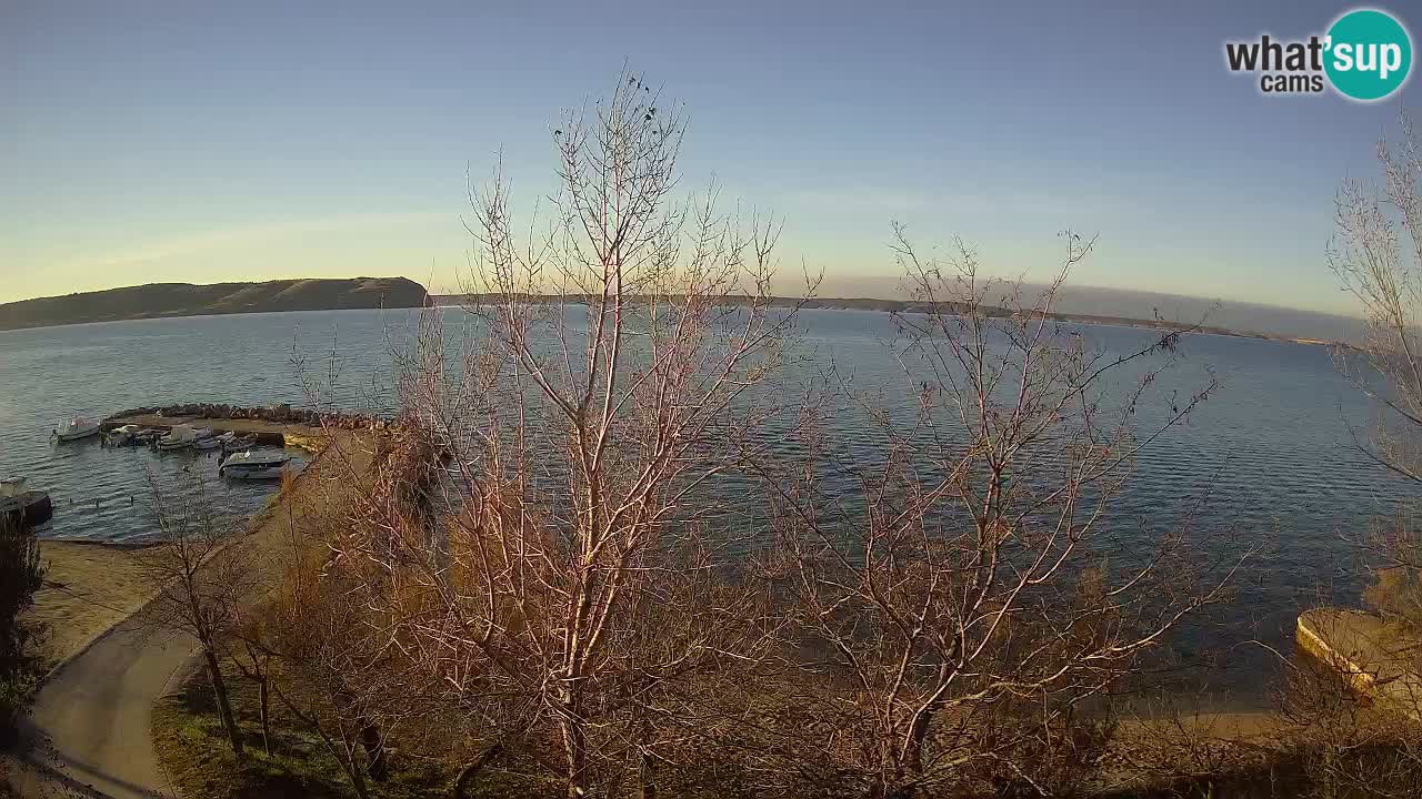 Camping Odmoree camera en vivo Ražanac – Dalmacia