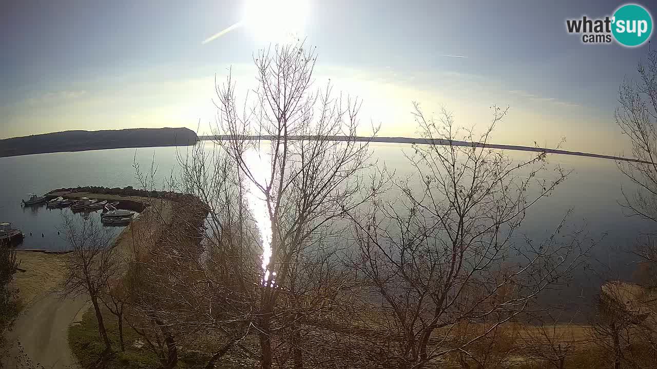 Camping Odmoree camera en vivo Ražanac – Dalmacia