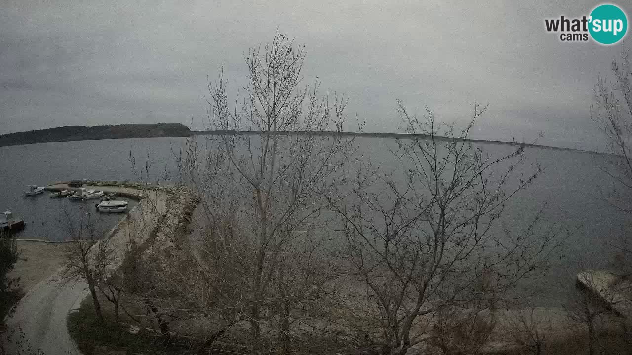 Camping Odmoree camera en vivo Ražanac – Dalmacia