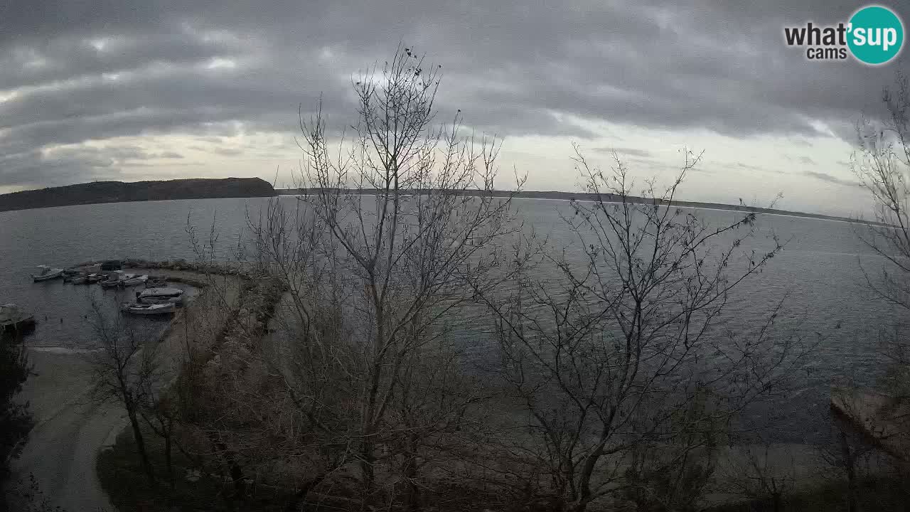 Camping Odmoree camera en vivo Ražanac – Dalmacia