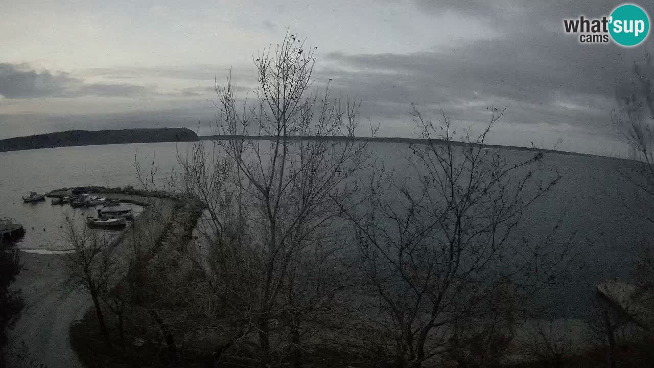 Camping Odmoree camera en vivo Ražanac – Dalmacia