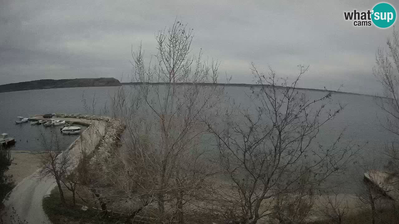 Camping Odmoree camera en vivo Ražanac – Dalmacia