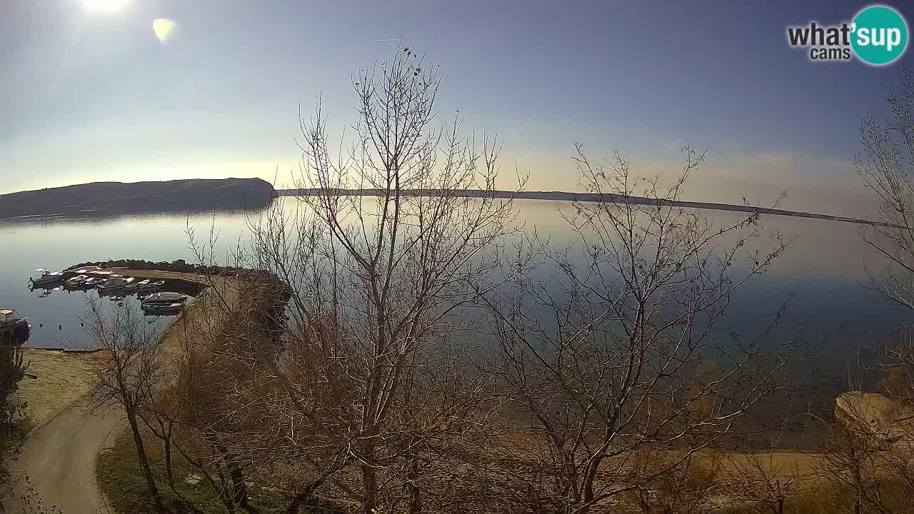 Camping Odmoree camera en vivo Ražanac – Dalmacia