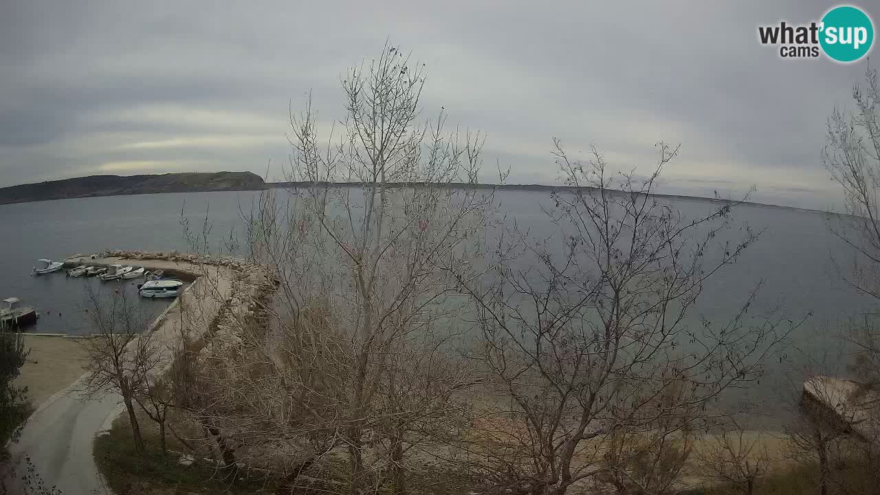 Kamp Odmoree spletna kamera Ražanac – Dalmacija