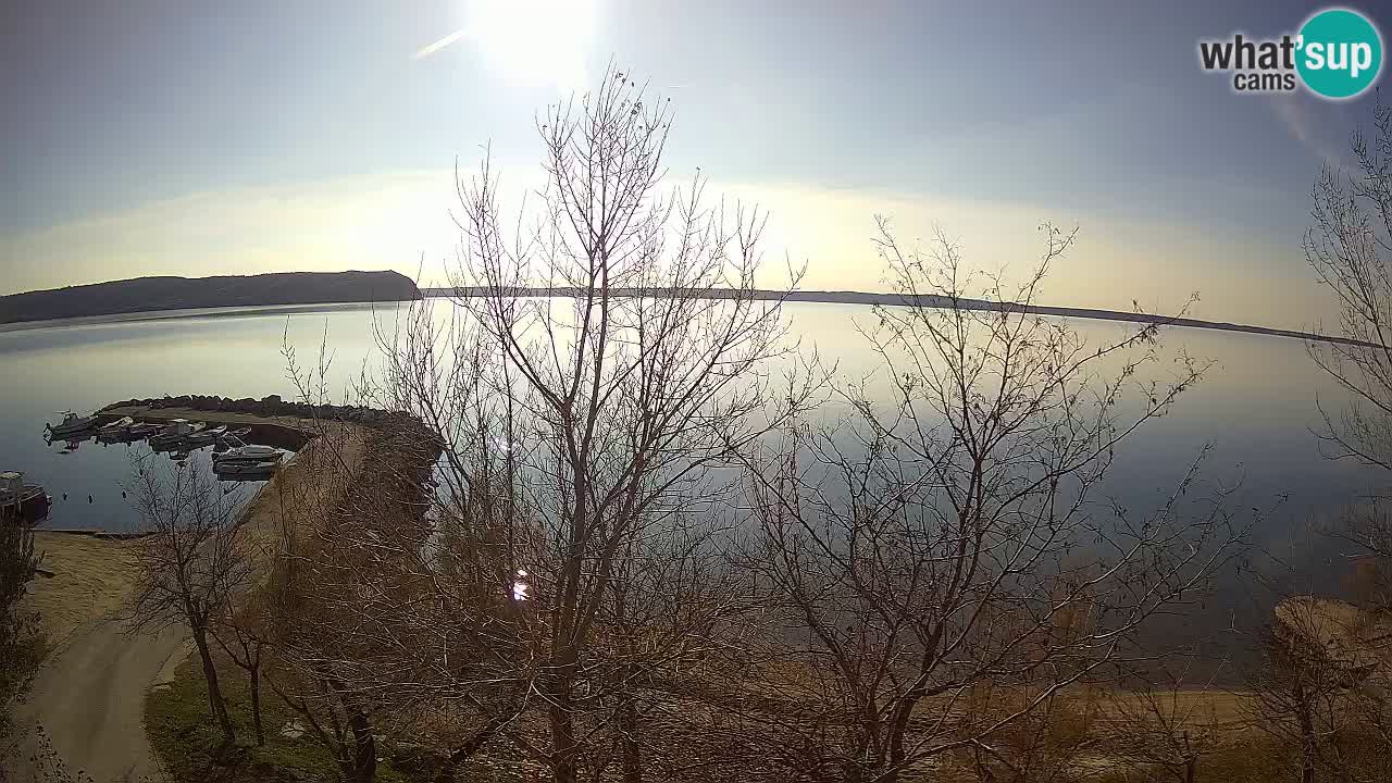 Kamp Odmoree spletna kamera Ražanac – Dalmacija