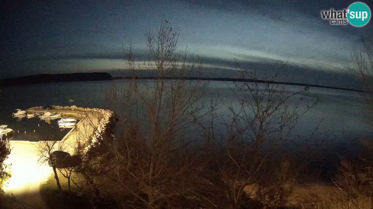 Kamp Odmoree spletna kamera Ražanac – Dalmacija