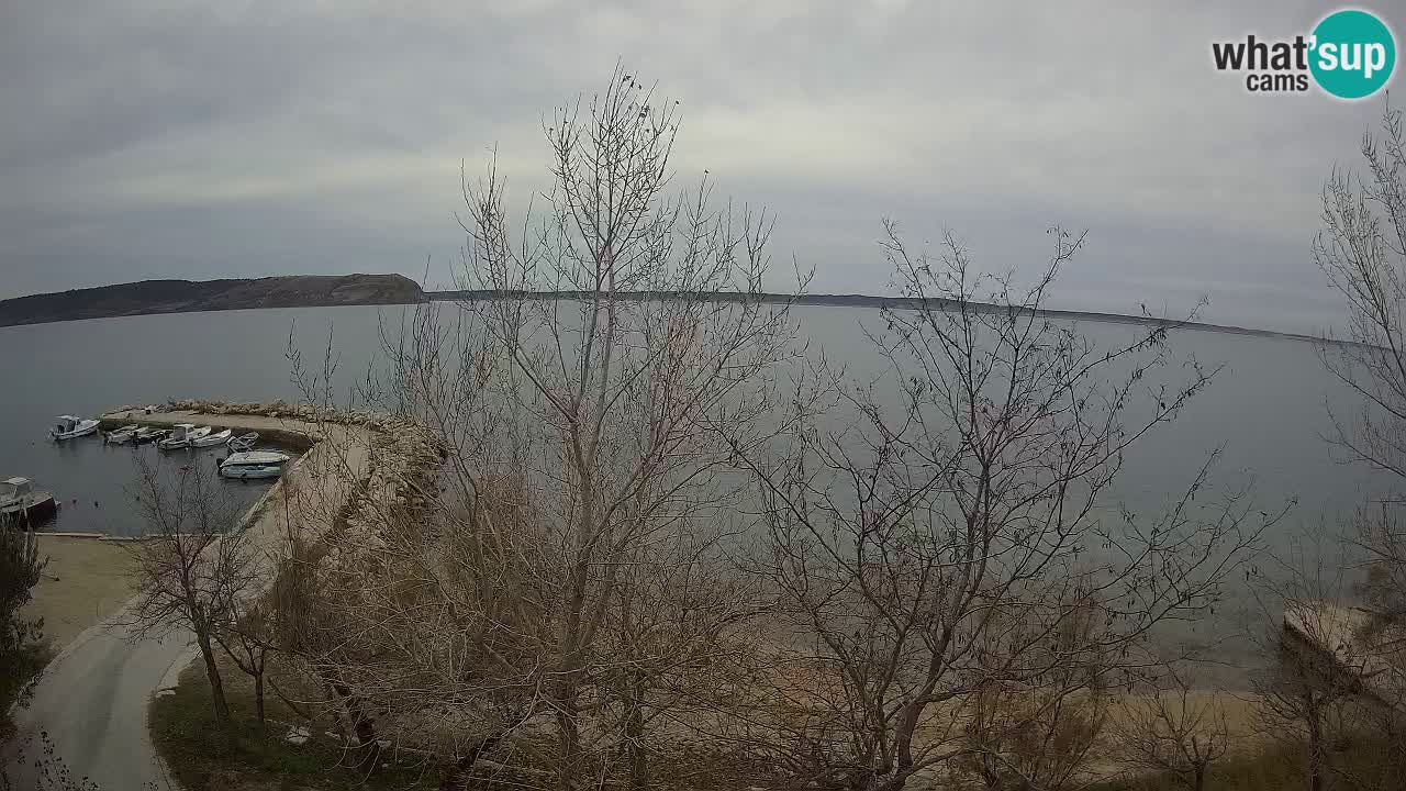 Kamp Odmoree spletna kamera Ražanac – Dalmacija