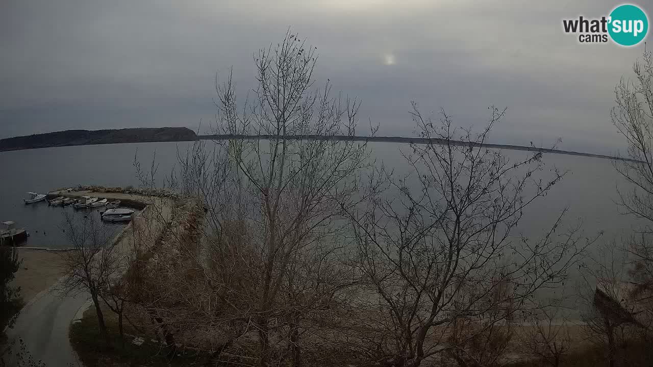 Camping Odmoree camera en vivo Ražanac – Dalmacia