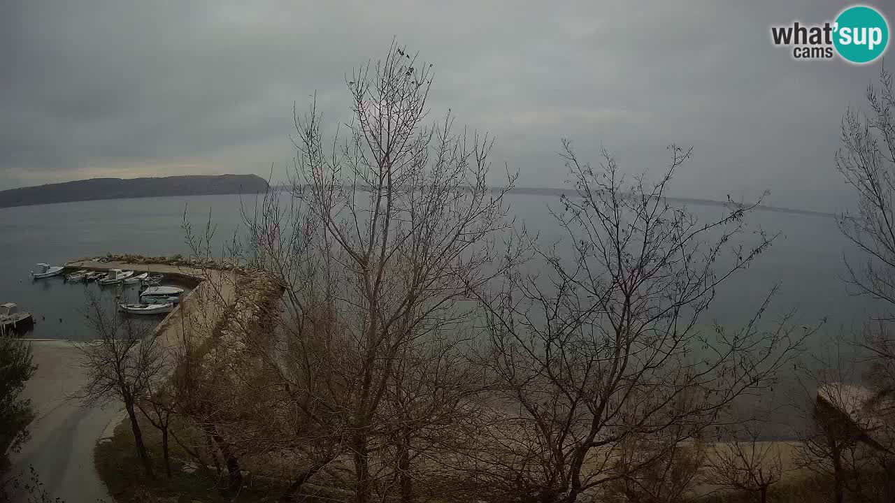 Kamp Odmoree spletna kamera Ražanac – Dalmacija
