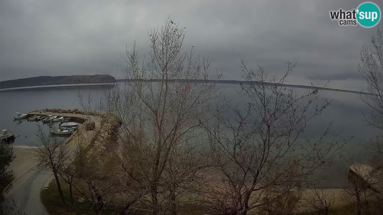Camping Odmoree web kamera Ražanac – Dalmacija