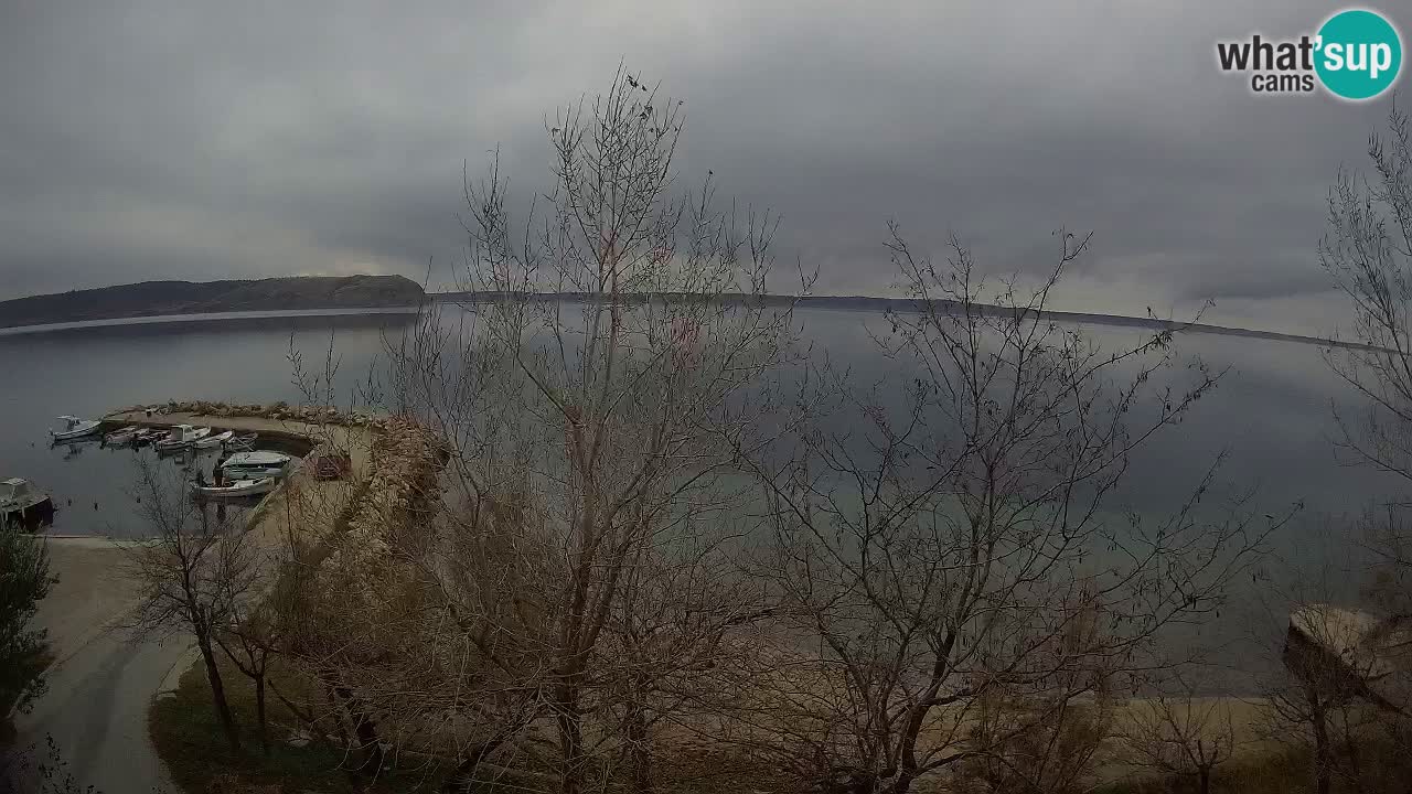 Kamp Odmoree spletna kamera Ražanac – Dalmacija