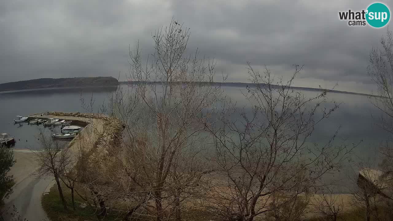 Camping Odmoree webcam Ražanac – Dalmatia