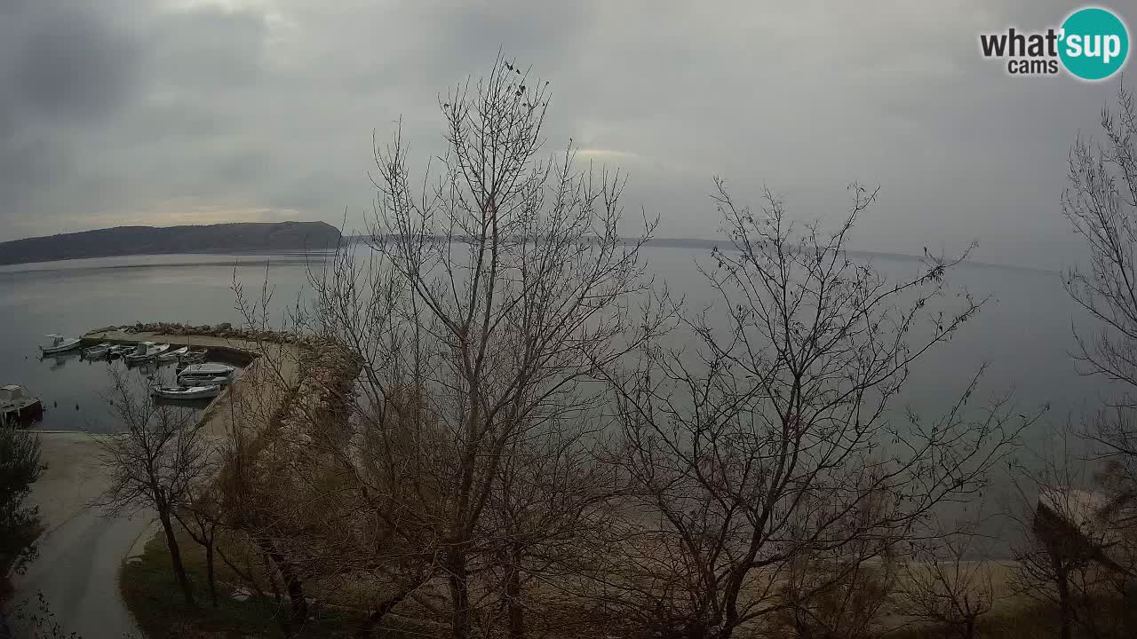 Kamp Odmoree spletna kamera Ražanac – Dalmacija