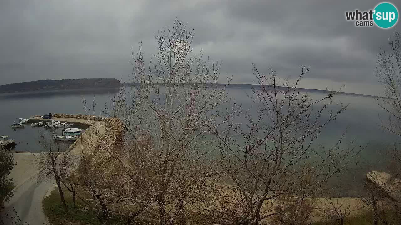 Camping Odmoree web kamera Ražanac – Dalmacija