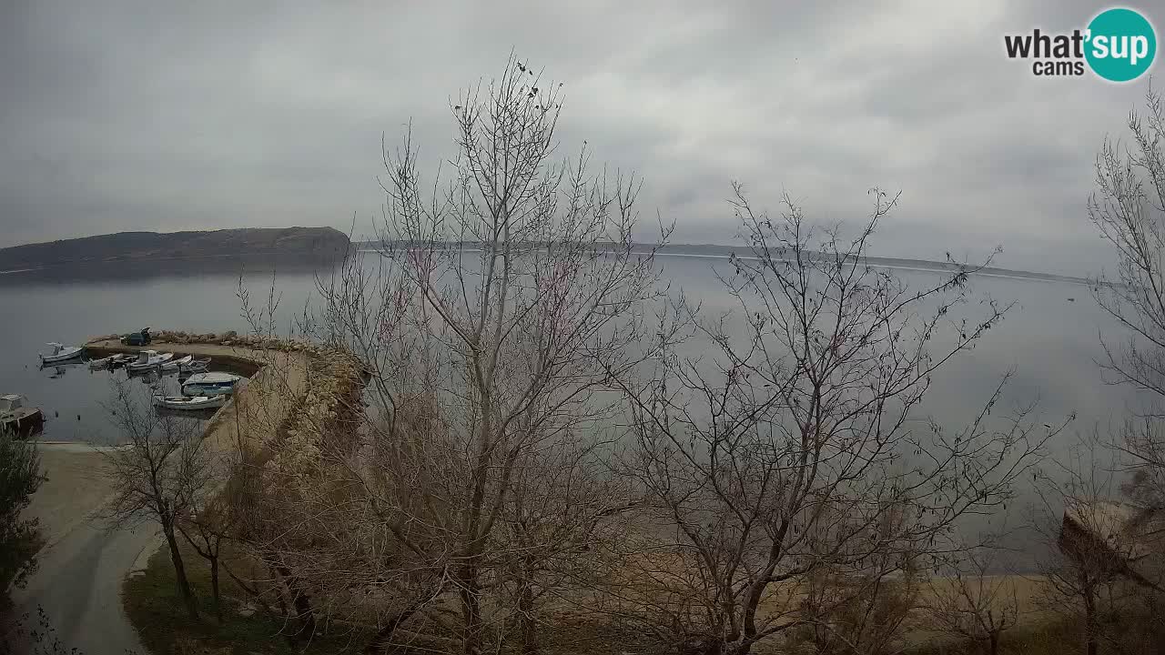 Camping Odmoree web kamera Ražanac – Dalmacija