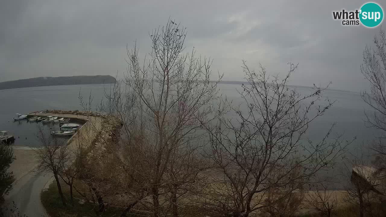 Camping Odmoree camera en vivo Ražanac – Dalmacia