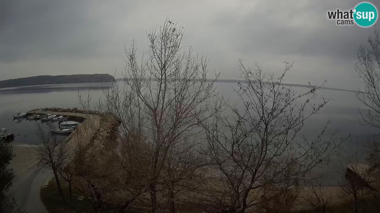 Camping Odmoree camera en vivo Ražanac – Dalmacia