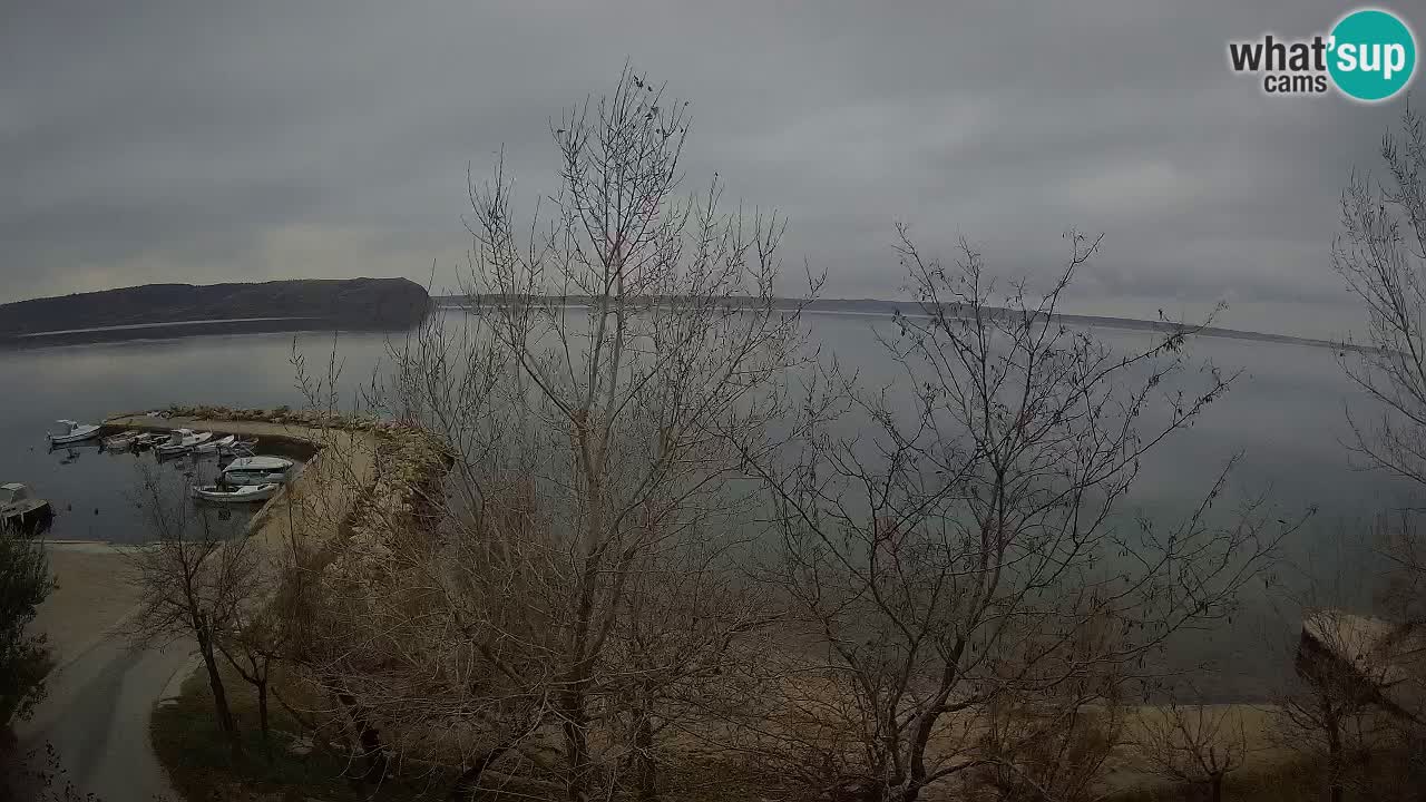 Camping Odmoree web kamera Ražanac – Dalmacija