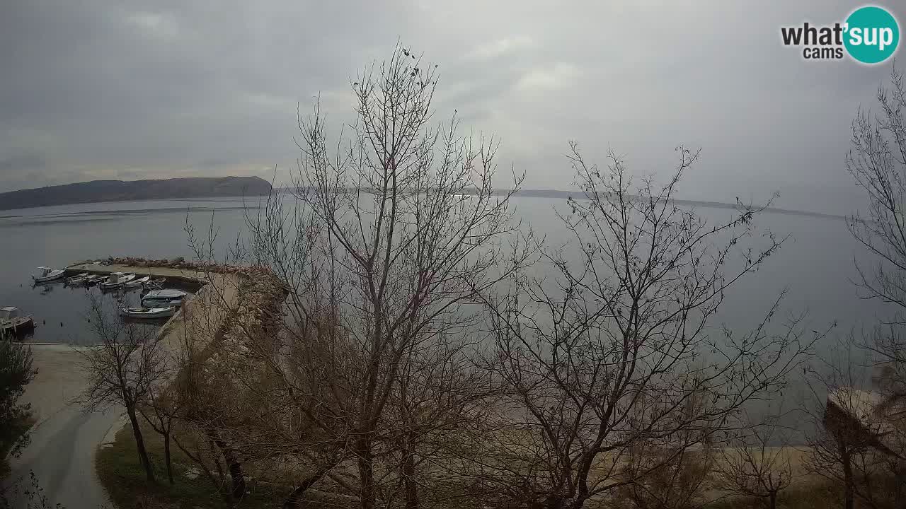 Camping Odmoree camera en vivo Ražanac – Dalmacia