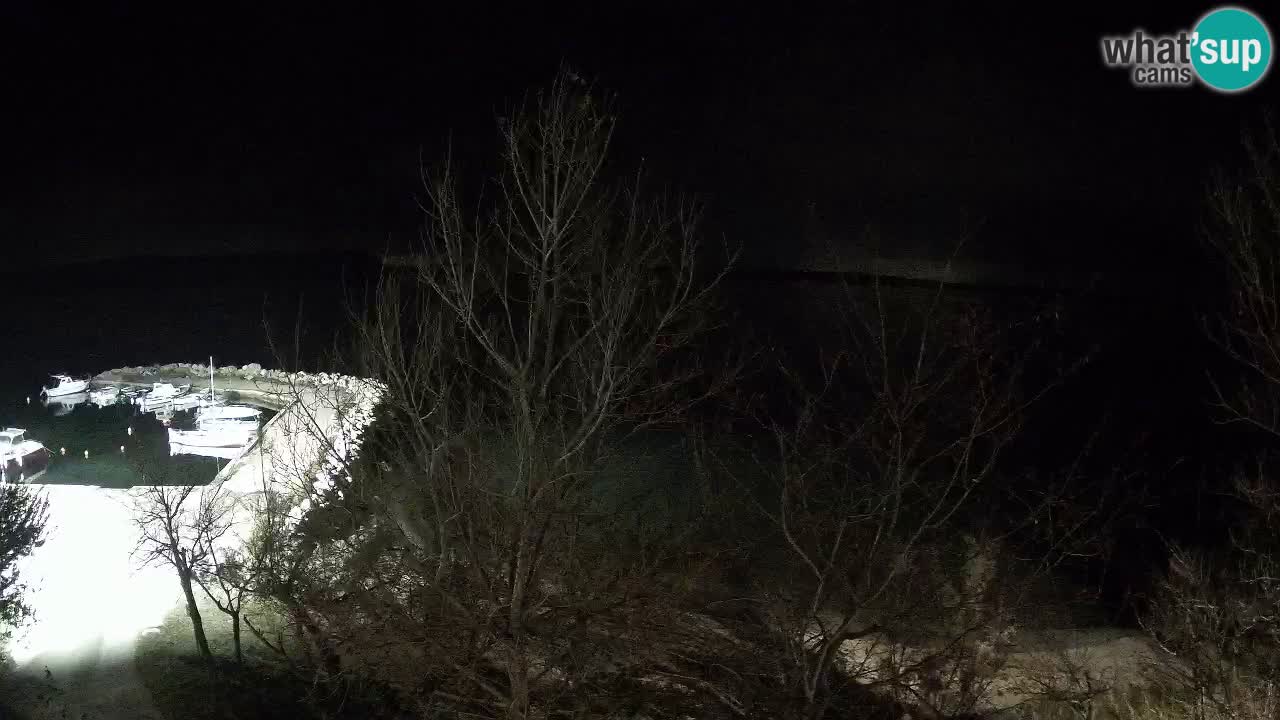 Kamp Odmoree spletna kamera Ražanac – Dalmacija