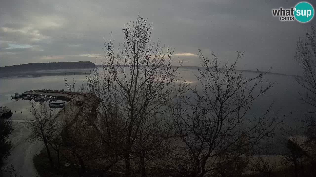 Kamp Odmoree spletna kamera Ražanac – Dalmacija