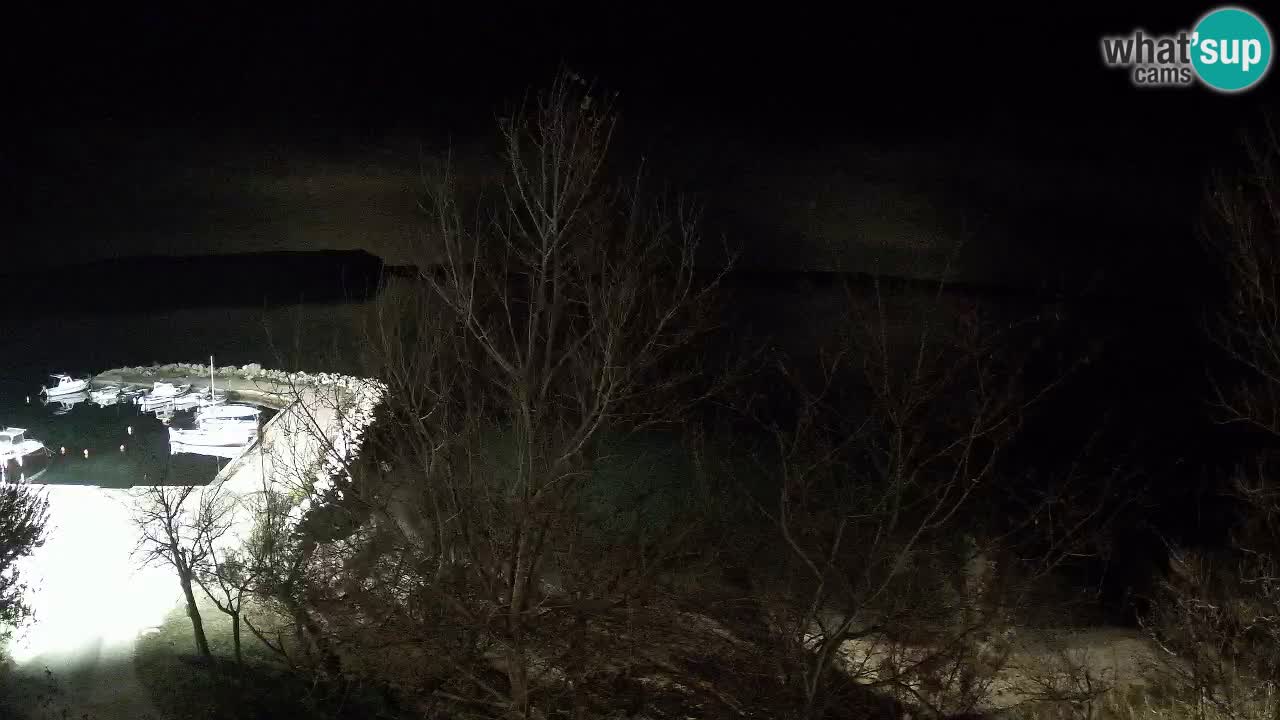 Kamp Odmoree spletna kamera Ražanac – Dalmacija