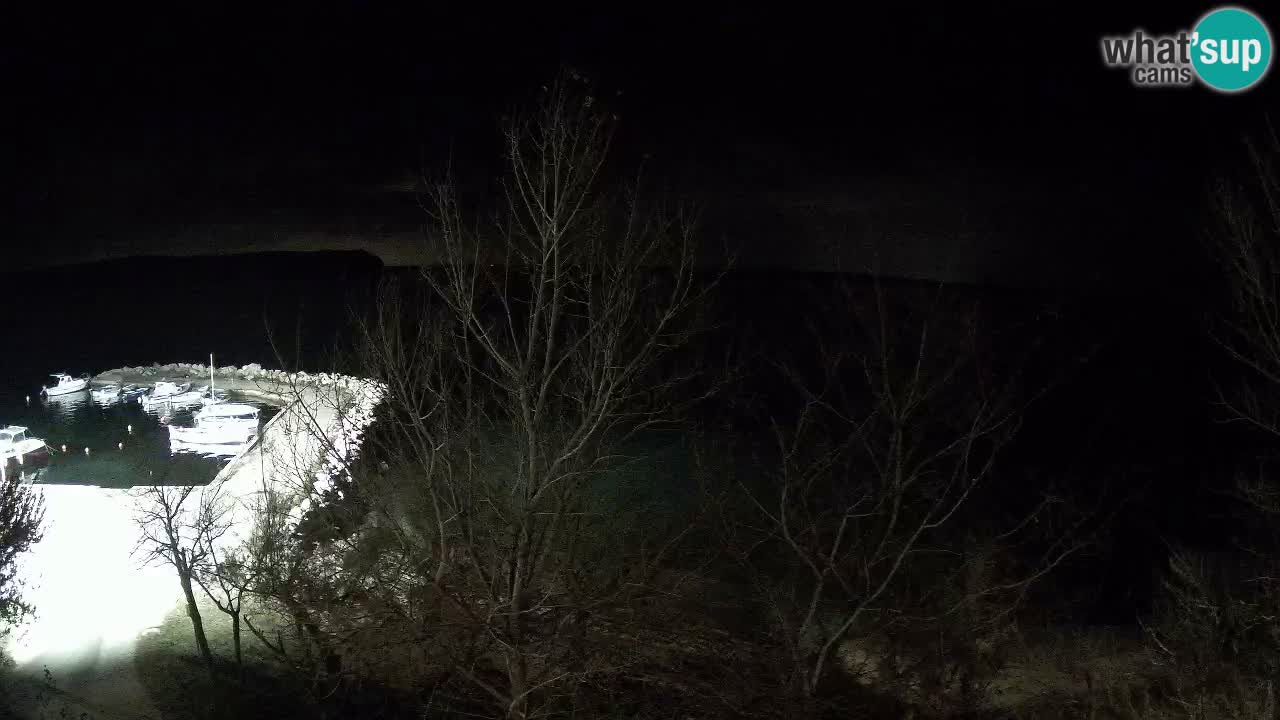 Kamp Odmoree spletna kamera Ražanac – Dalmacija