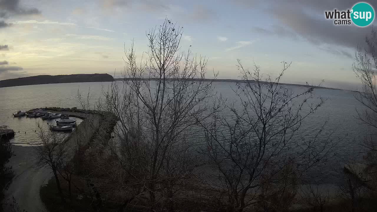 Camping Odmoree camera en vivo Ražanac – Dalmacia